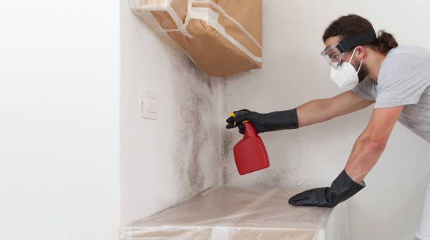Professional Crawl Space Mold Removal technician working in Old Bridge, NJ