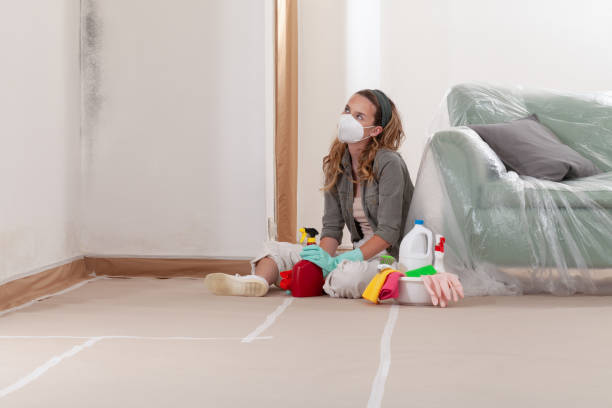 Reliable Crawl Space Mold Removal contractor in Old Bridge, NJ by WQB Mold Removal